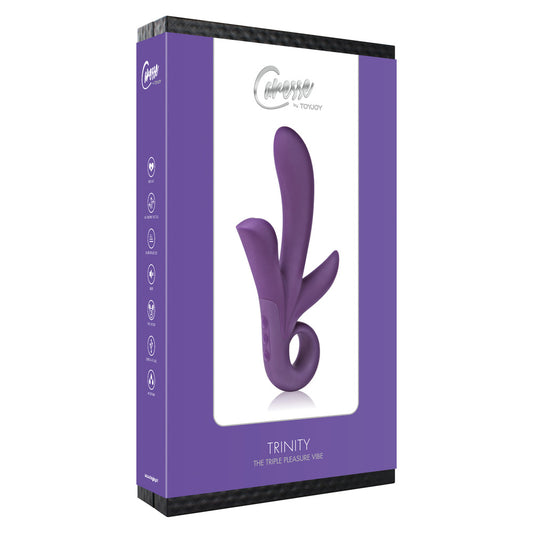 Purple triple pleasure vibrator from toy joy sex toys, with clit stimulators for extra fun.