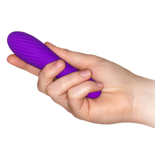 A small, purple bullet vibrator from toy joy sex toys, a mini pleasure essential.