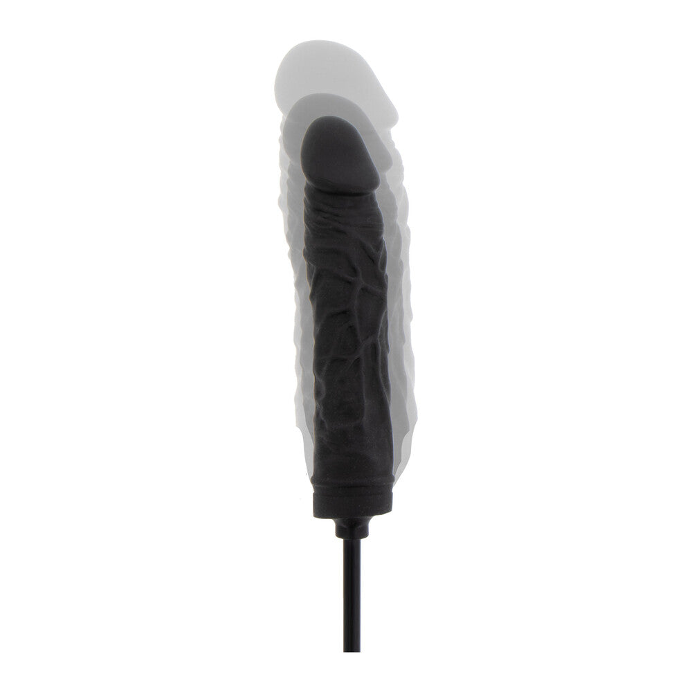 Inflatable dildo with advanced texture detail, other dildos available in our range.