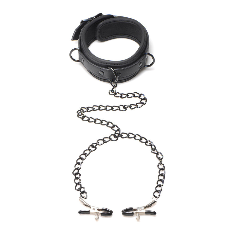 master series collared temptress: a black leather collar with silver-toned hardware, quite striking.