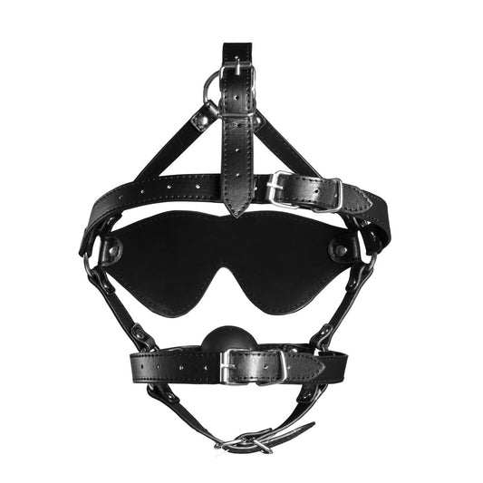 Black ouch xtreme blindfolded harness with a solid ball gag from shots toys, for playful bondage.
