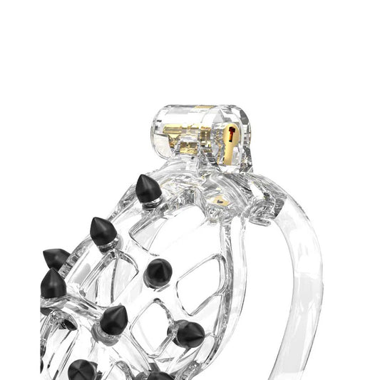 Transparent rimba pcage pc09 in medium size, a male chastity device made of plastic.