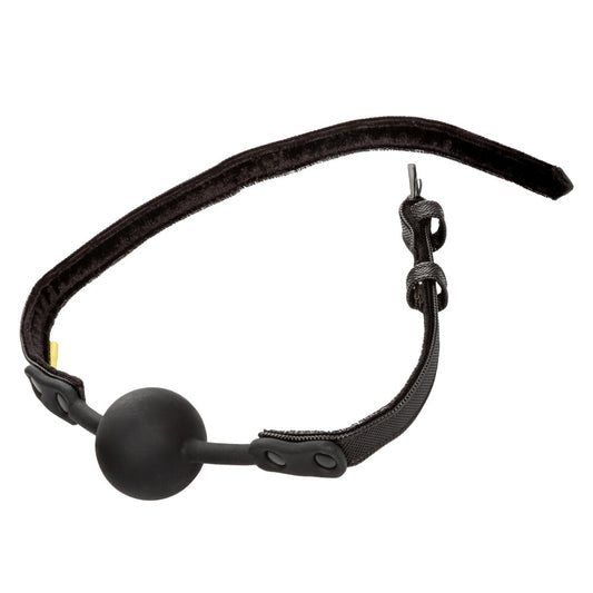 black rubber ball gag from california exotic, a kinky bedroom restraint