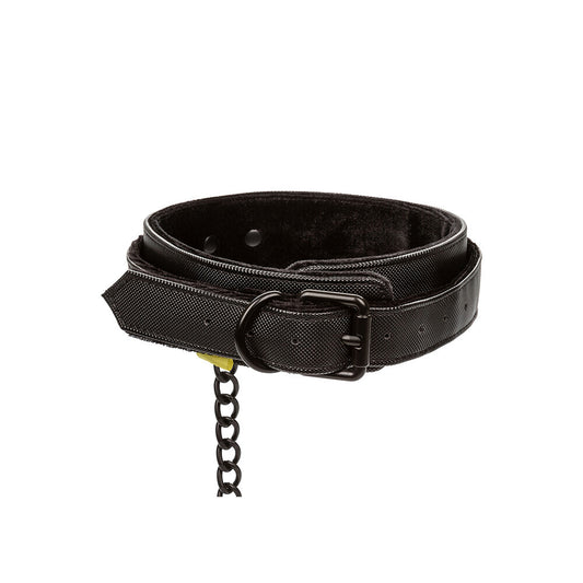 California Exotic Boundless collar and matching lead, a stylish dog walking set.