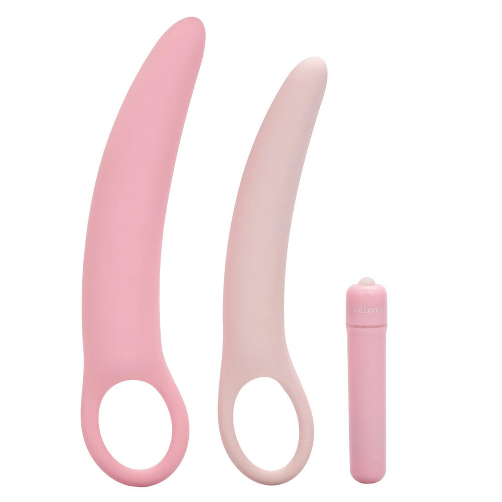 Three smooth, graduated silicone dilators in pink and purple, for kegel exercise aid