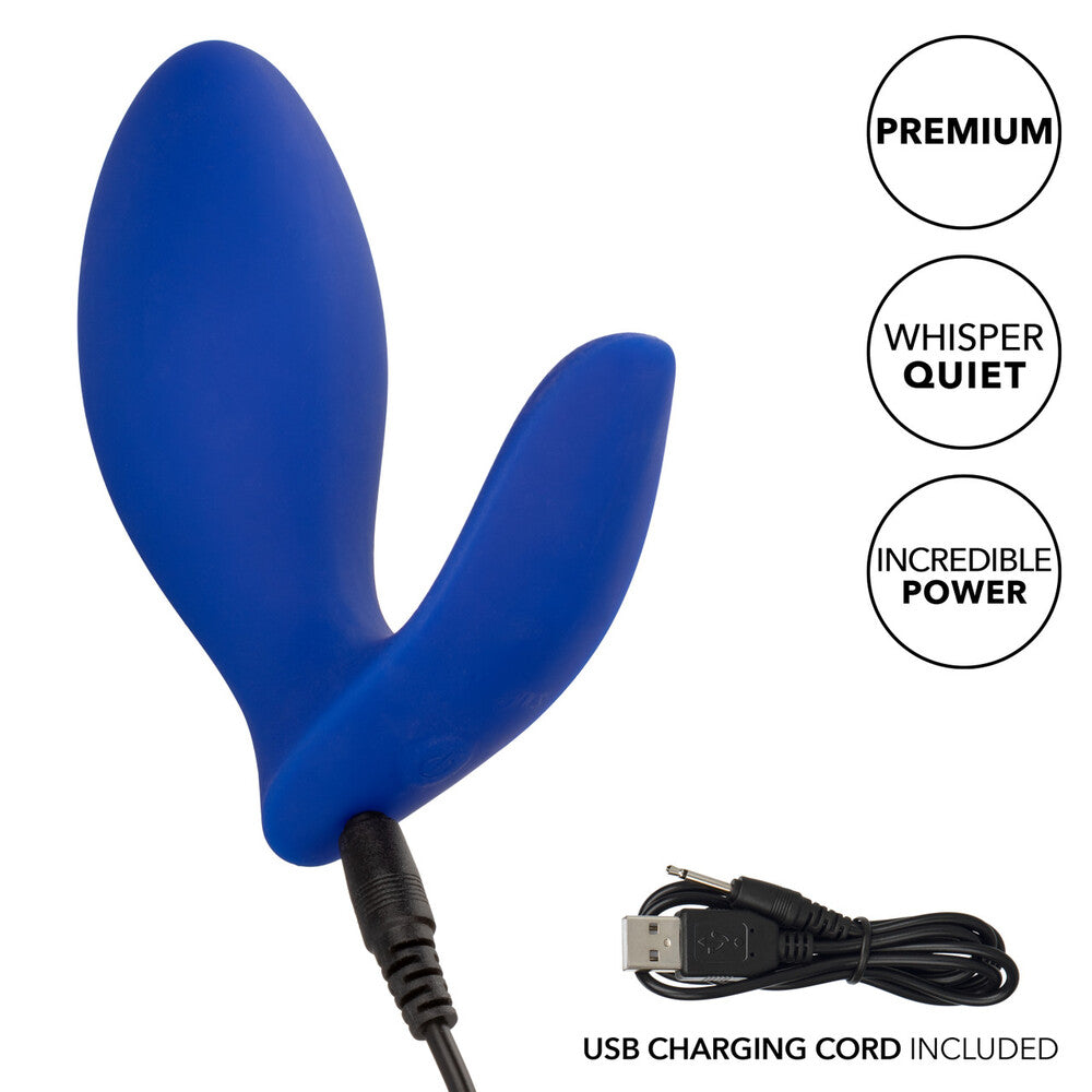 California Exotic Admiral prostate probe, a silver-coloured metal anal probe for pleasure play.