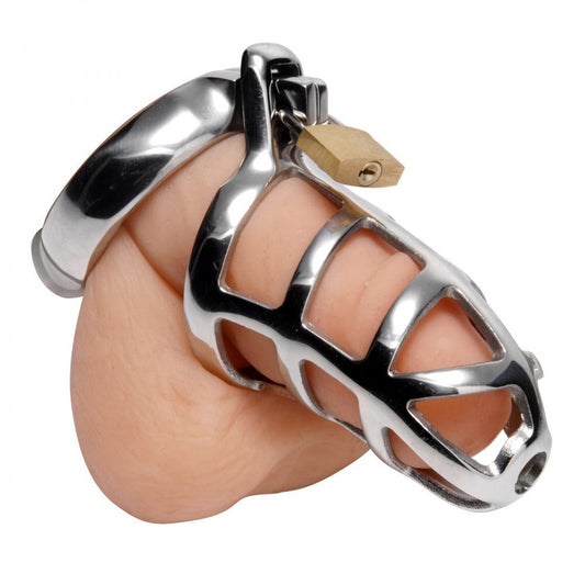 A silver metal cock cage from Kink Industries, for male chastity play.
