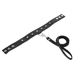 Leather leash and collar set, likely for pet use, in a classic, smart style.