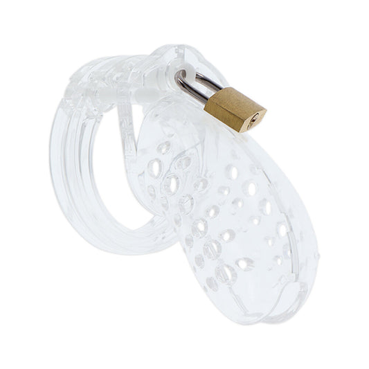 A silver-toned metal cock cage from hidden desire, designed for male chastity use.