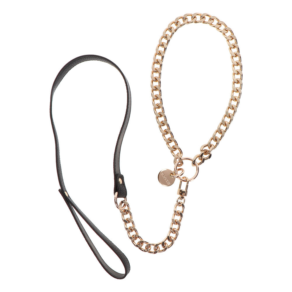 A stylish dona statement collar and lead set for dogs, a fashionable accessory.