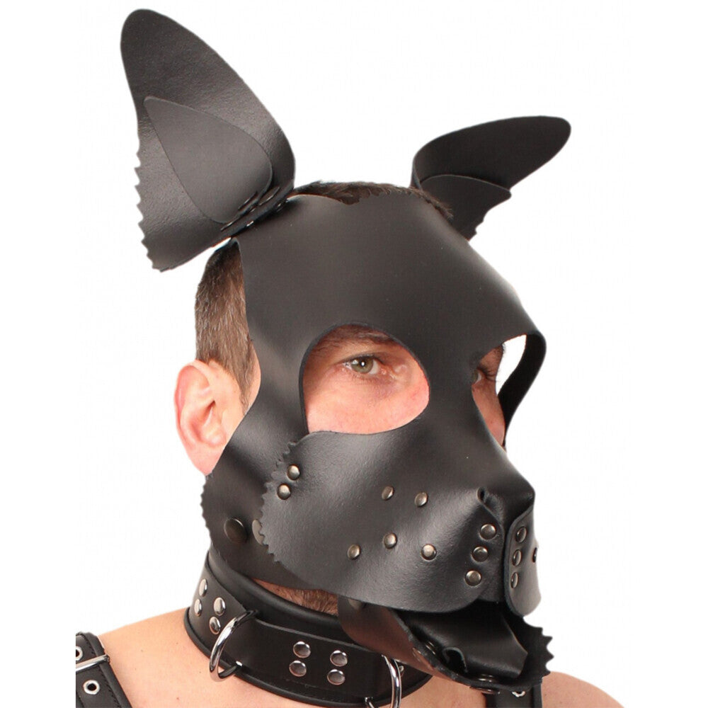A red leather puppy dog mask from The Red, ideal for playful fancy dress.