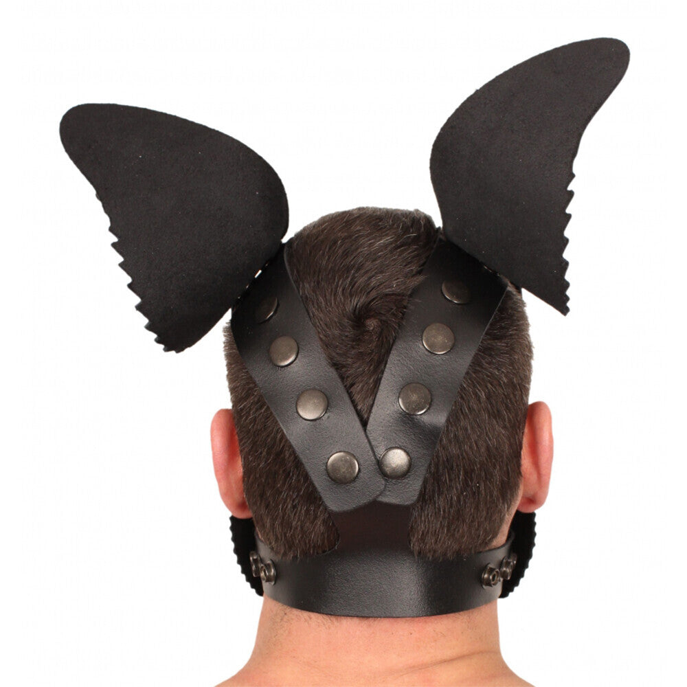 A fetching red leather puppy mask from The Red, perfect for playful nights.