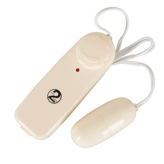 A discreet, silver, bullet-shaped vibrator from You2Toys, a vibrating pleasure egg.