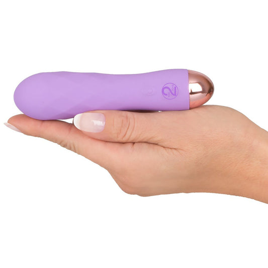 A small, rechargeable purple vibrator with a smooth, silk-touch finish, for personal pleasure.