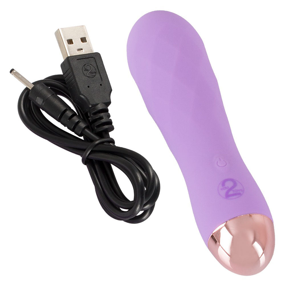 Close-up of a small, rechargeable purple vibrator with a silky smooth finish from You2Toys.