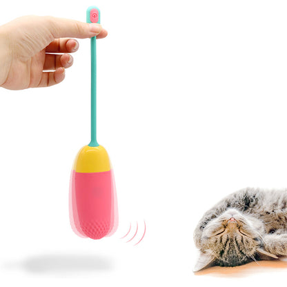 Teal clitoral vibrator with remote control, a discreet and playful pleasure toy.
