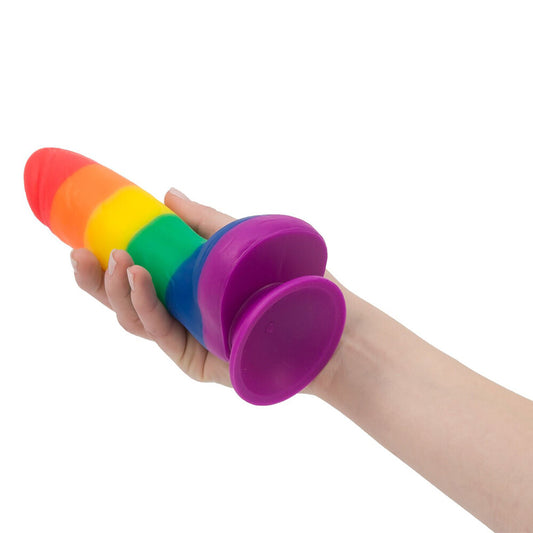 rainbow coloured penis dildo by bms enterprises, approximately eight inches long, textured for added pleasure