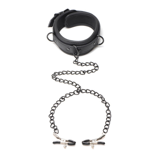 master series collared temptress: a black leather collar with silver-toned hardware, quite striking.