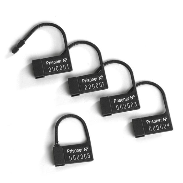 MyStim electro sex stimulation device, a metal chastity cage for enhanced erotic play