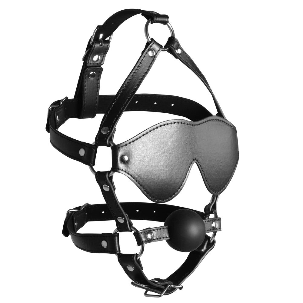 Black ouch xtreme blindfolded harness and solid ball gag, ideal for sensory deprivation play.