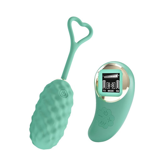 Pretty Love vibrating egg with remote control, sleek and discreet for personal pleasure.