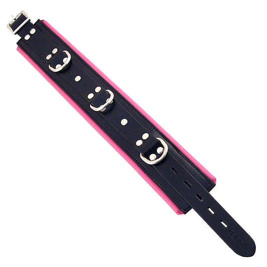 Rouge Garments black and pink padded collar, perfect for stylish pups on their walkies.