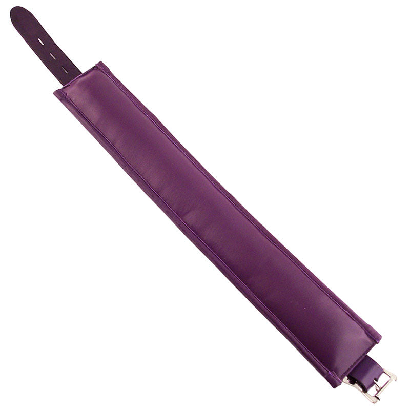 Rouge Garments purple padded dog collar, a stylish and comfy accessory for your pampered pooch.