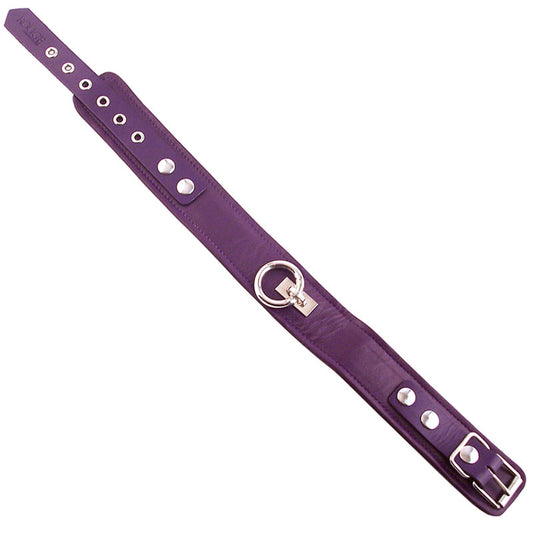 Plain purple leather dog collar from rouge garments, a stylish accessory for your pooch.