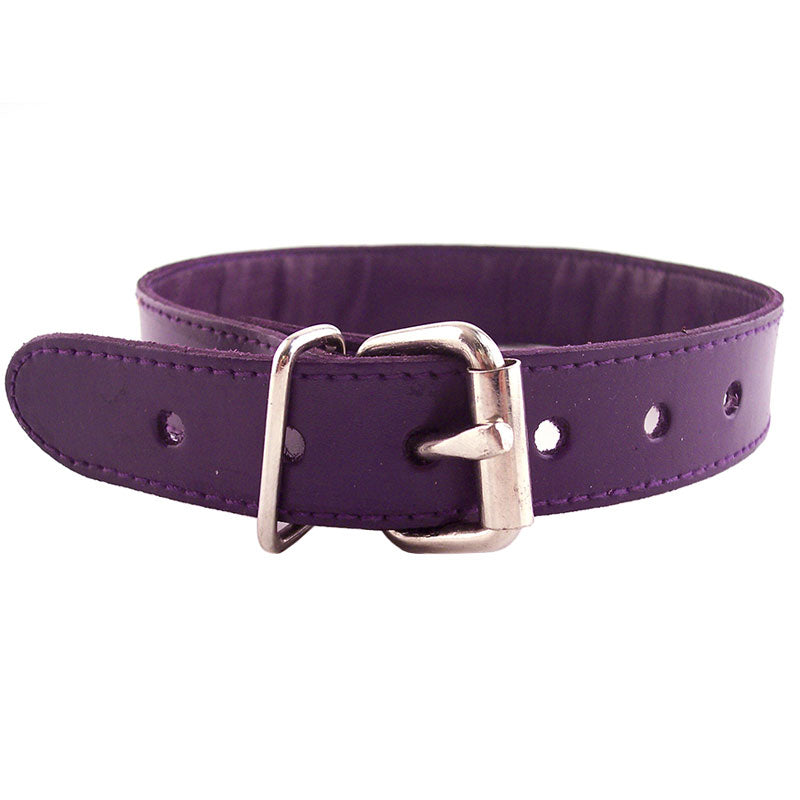 rouge garments purple collar with metal o-ring and studded detailing, perfect for statement looks.