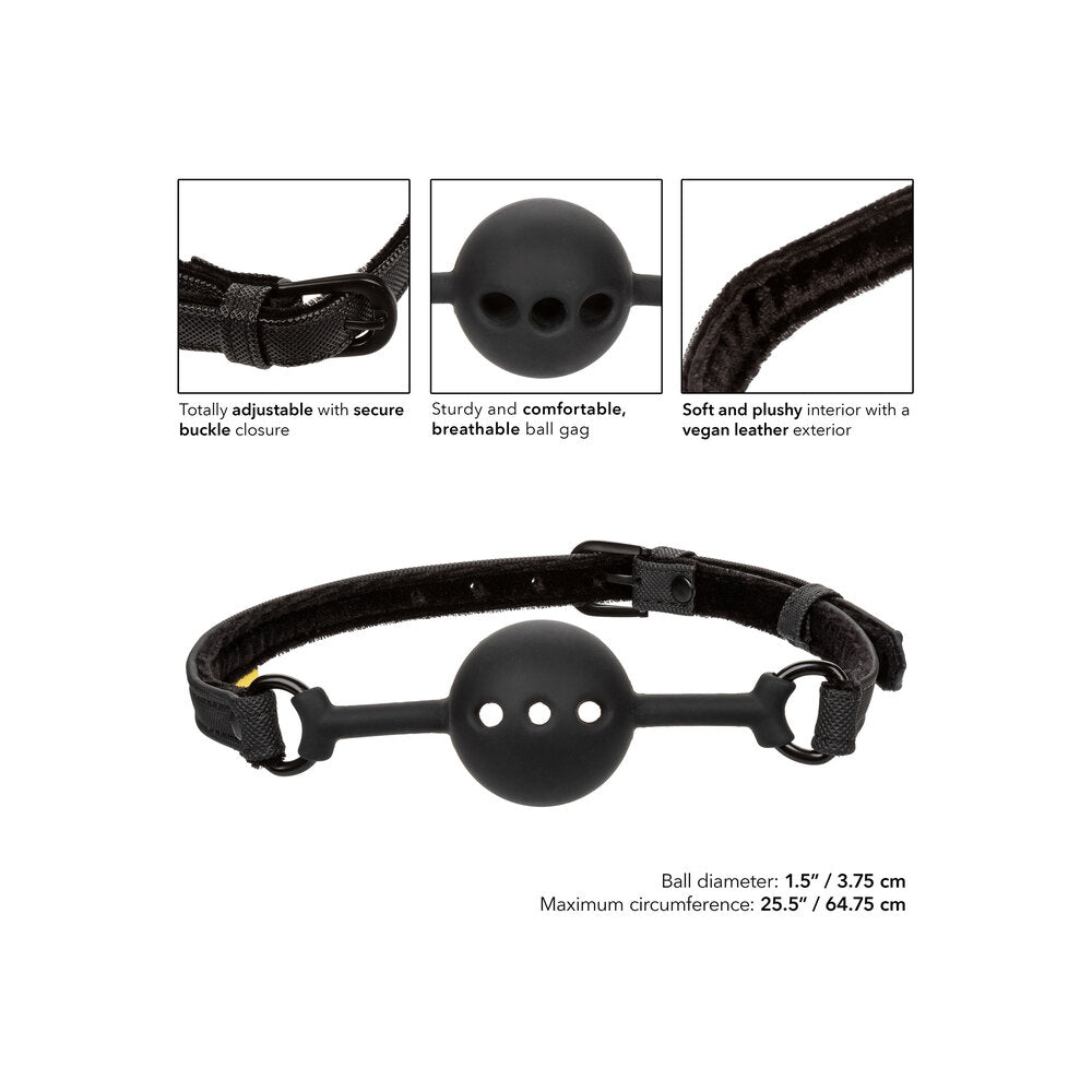 black breathable ball gag from california exotic, a kinky essential for playful restraint.