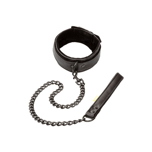 California Exotic boundless collar and leash, a smart, stylish set for daily dog walks.