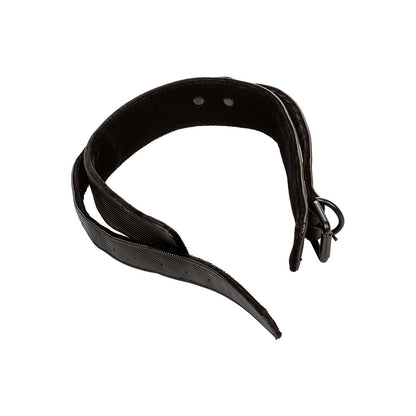 california exotic boundless black collar and lead set, ideal for dog walking.