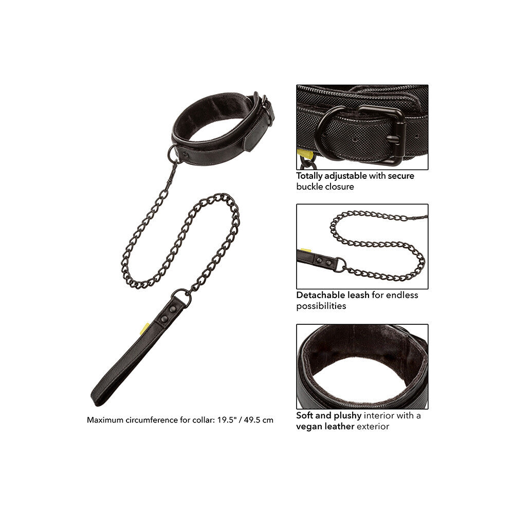 California Exotic boundless dog collar and leash set, seen in a stylish design.