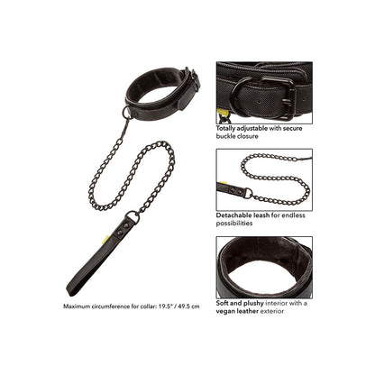 California Exotic boundless dog collar and leash set, seen in a stylish design.
