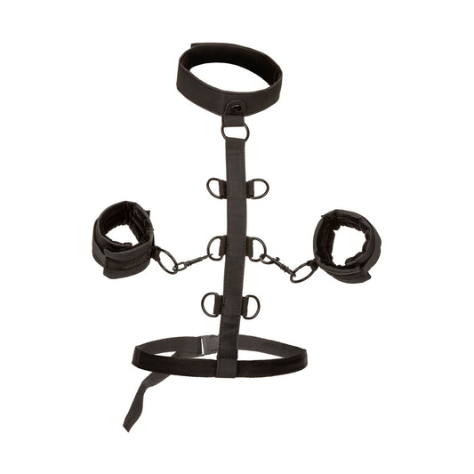 Black collar body restraint with adjustable straps for bondage play from California Exotic.