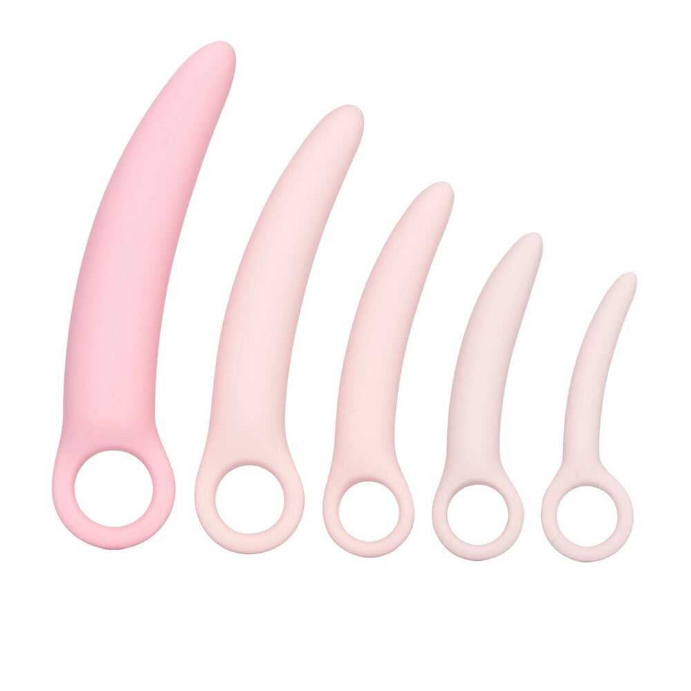 The california exotic inspire silicone dilator kit for kegel exercise, gradient purple finish.