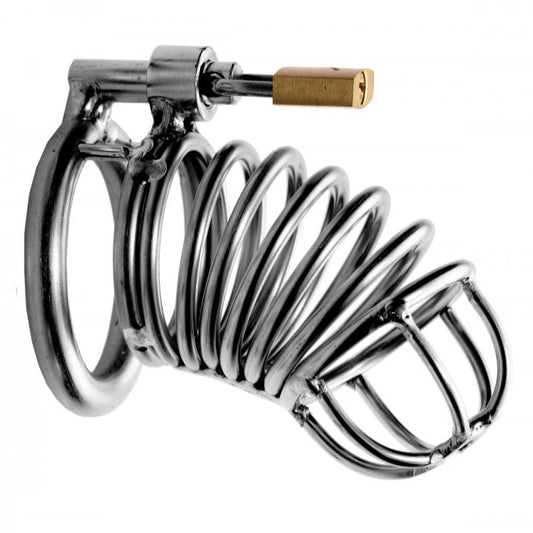 Master Series bastille penile confinement cage in shiny silver metal for male chastity