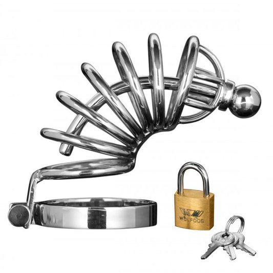 Master Series asylum male chastity cage with six rings and a secure locking mechanism.