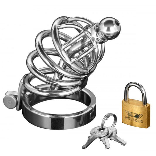 The master series asylum chastity cage with four rings, metal construction for male chastity.