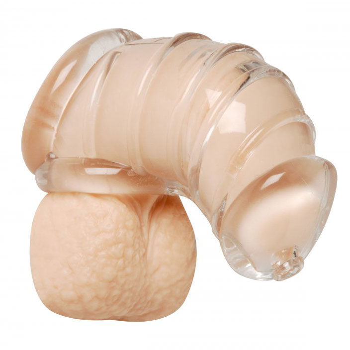 Master Series detained soft body chastity cage, grey silicone device for male chastity.