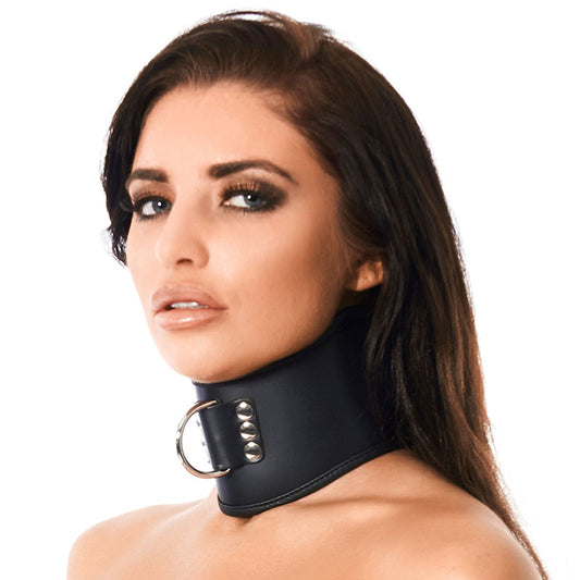 Rimba leather collar in black with a silver padlock, a stylish pet accessory.